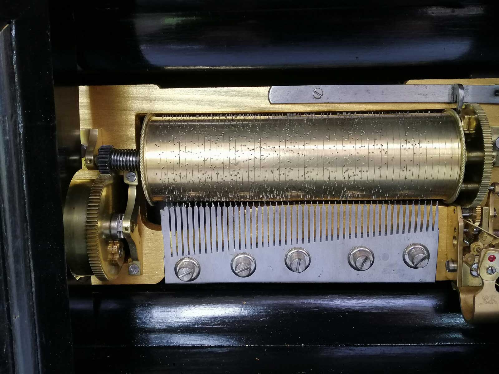 Image F